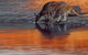 Steve Morvell Wildlife Art - thumb 0