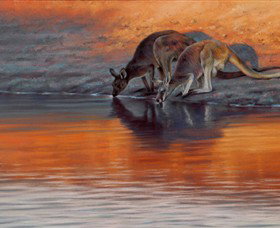 Steve Morvell Wildlife Art - Accommodation Mt Buller 0