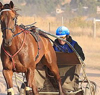 Ballarat  District Trotting Club - Accommodation Mt Buller
