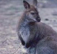 Churchill National Park - Accommodation Mt Buller