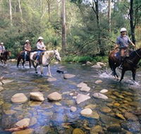Howqua Hills Historic Area - Accommodation Mt Buller