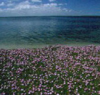 The Lakes National Park