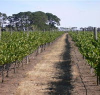 Mount Beckworth Wines - Accommodation Mt Buller