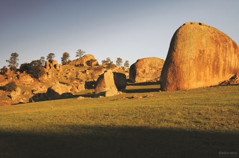 Fowles Wine - Accommodation Mt Buller 3