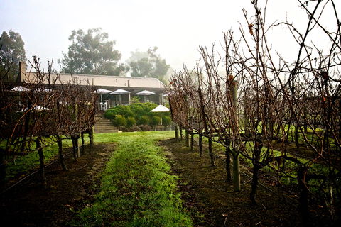 GREENSTONE VINEYARDS - Accommodation Mt Buller 4