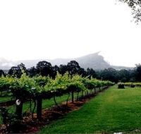 Cambewarra Estate Wines - Accommodation Mt Buller