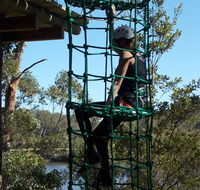 Trees Adventure Shoalhaven - Accommodation Mt Buller