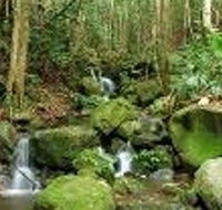 Budderoo National Park - Accommodation Mt Buller