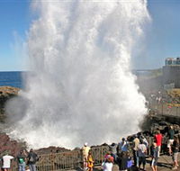 Kiama Blowhole - Accommodation Mt Buller