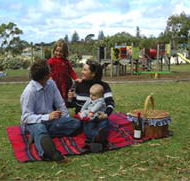 Blackbutt Forest Reserve