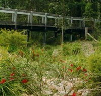Eurobodalla Botanic Gardens - Accommodation Mt Buller