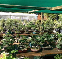 Bonsai at the Bay - Accommodation Mt Buller