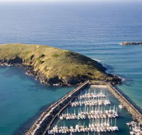 Muttonbird Island Nature Reserve - Accommodation Mt Buller