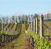 Philip Shaw Wines - Accommodation Mt Buller