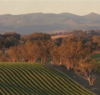Angullong Wines - Accommodation Mt Buller