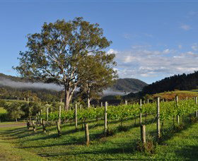 Sarabah Estate Vineyard - Accommodation Mt Buller 1