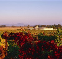 Morris Wines - Accommodation Mt Buller