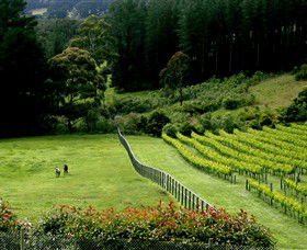 Prancing Horse Estate - Accommodation Mt Buller 2