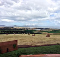 The Hazards Vineyard - Devil's Corner - Accommodation Mt Buller