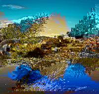 Loira Vines - Accommodation Mt Buller