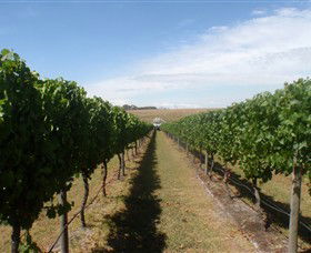 Cannibal Creek Vineyard - Accommodation Mt Buller 1