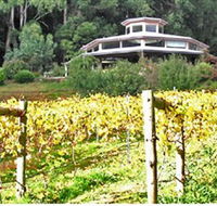 Peveril Vineyard/Beechy Berries - Accommodation Mt Buller