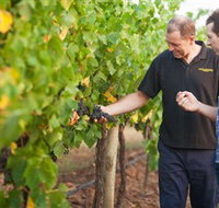 Fratin Brothers Vineyard - Accommodation Mt Buller