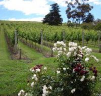Pembroke Estate Vineyard - Accommodation Mt Buller