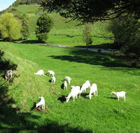 Karmic Goat Soapworks - Accommodation Mt Buller