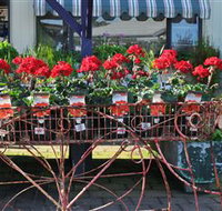 Van Loon's Nursery - Accommodation Mt Buller
