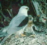 Bushy Park Wetlands - Accommodation Mt Buller