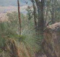 Mount Lawson State Park - Accommodation Mt Buller