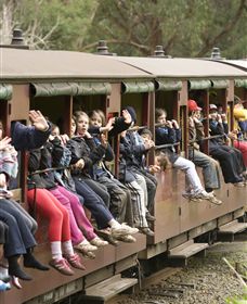 Puffing Billy Steam Railway - Accommodation Mt Buller 1