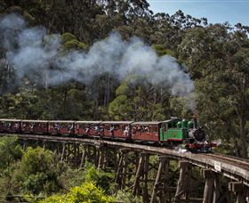 Puffing Billy Steam Railway - Accommodation Mt Buller 0