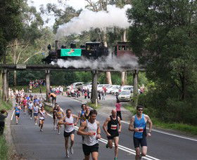 Puffing Billy Steam Railway - Accommodation Mt Buller 7