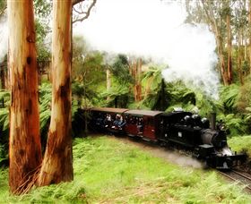 Puffing Billy Steam Railway - Accommodation Mt Buller 5