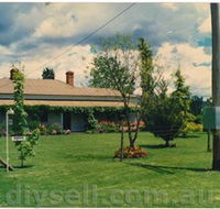 Tumut Valley Violets