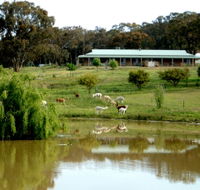Clearview Alpacas - Accommodation Mt Buller