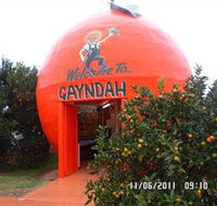 Gayndahs Big Orange - Accommodation Mt Buller