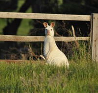 Panorama Garden Estate - Accommodation Mt Buller