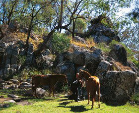  Accommodation Mt Buller