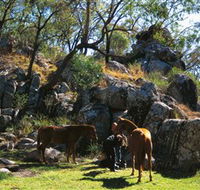 Coomba Falls - Accommodation Mt Buller
