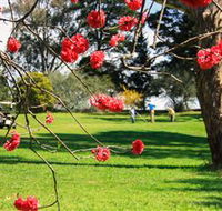 The Yass Golf Club - Accommodation Mt Buller