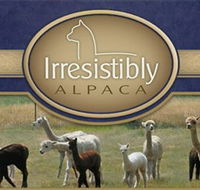 Marchmont Park Alpacas - Accommodation Mt Buller