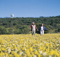 Koolanooka Springs - Accommodation Mt Buller