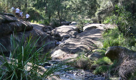 Towarri National Park - Accommodation Mt Buller 0