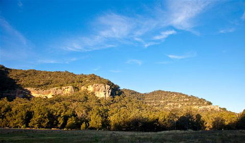 Towarri National Park - Accommodation Mt Buller 1