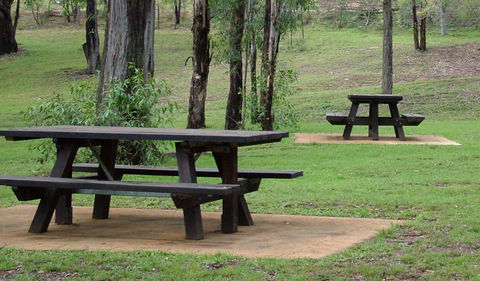 Towarri National Park - Accommodation Mt Buller 2