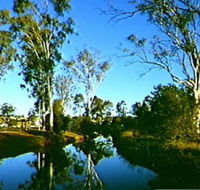 Dingo Creek Park - Accommodation Mt Buller