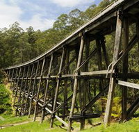 Noojee Trestle Bridge - Accommodation Mt Buller